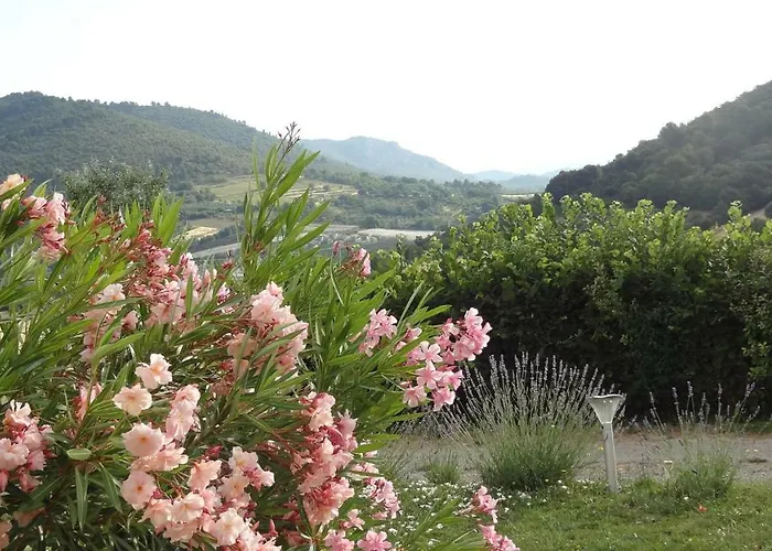 Les Chevrefeuilles Daire Manosque